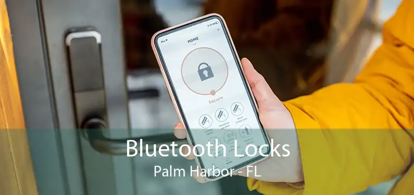 Bluetooth Locks Palm Harbor - FL