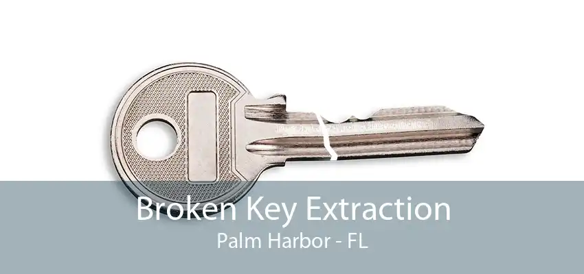 Broken Key Extraction Palm Harbor - FL