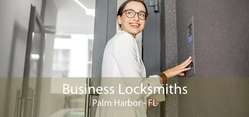 Business Locksmiths Palm Harbor - FL