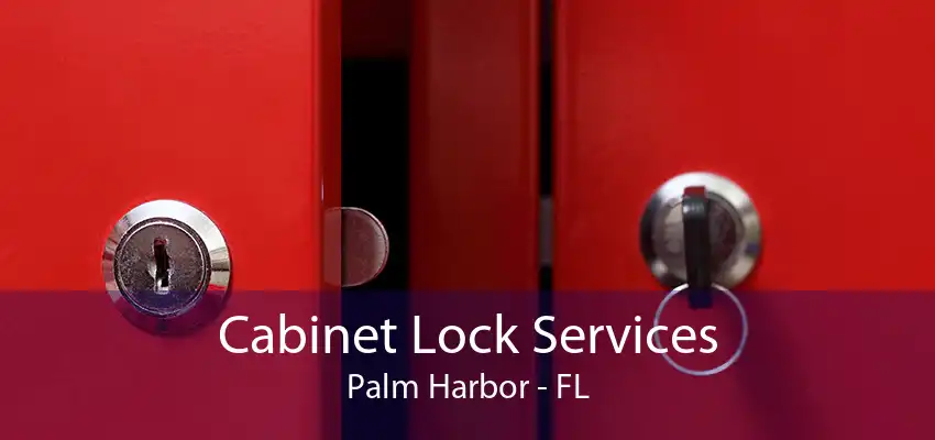 Cabinet Lock Services Palm Harbor - FL