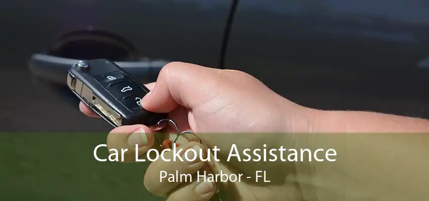 Car Lockout Assistance Palm Harbor - FL