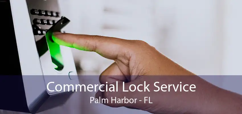 Commercial Lock Service Palm Harbor - FL