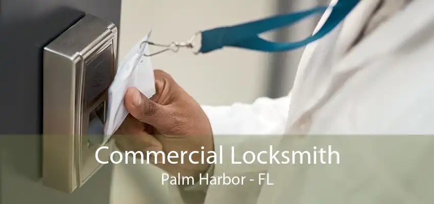 Commercial Locksmith Palm Harbor - FL