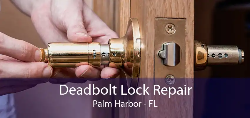 Deadbolt Lock Repair Palm Harbor - FL