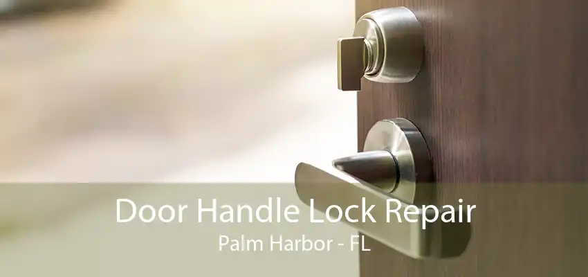 Door Handle Lock Repair Palm Harbor - FL