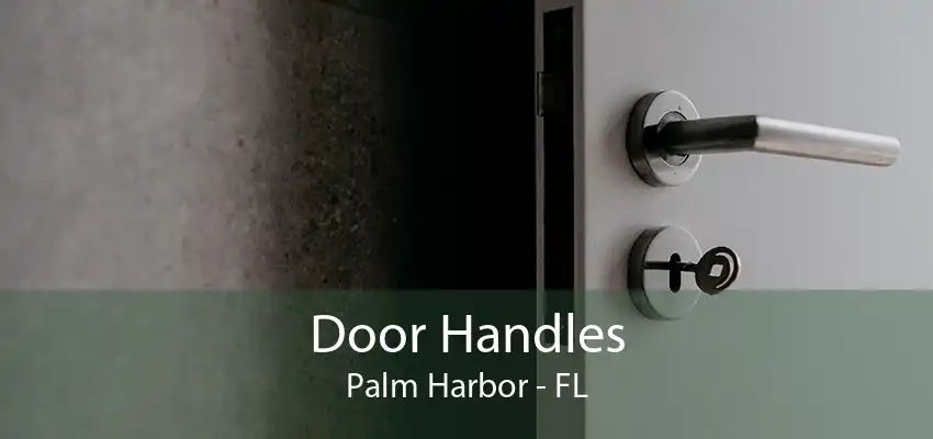 Door Handles Palm Harbor - FL