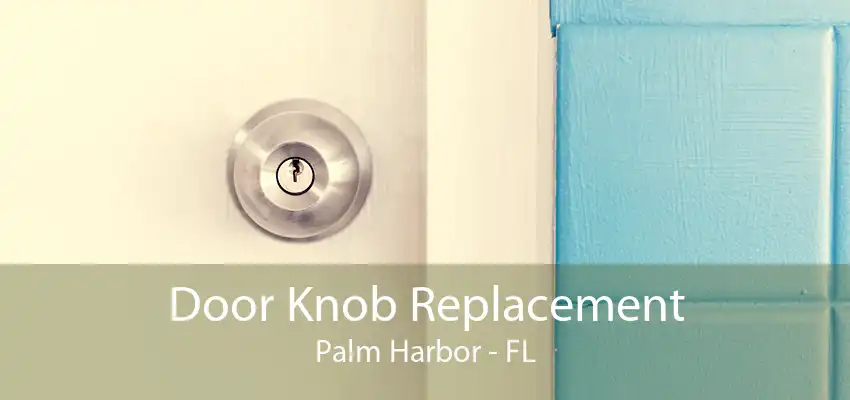 Door Knob Replacement Palm Harbor - FL