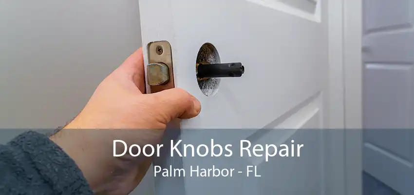 Door Knobs Repair Palm Harbor - FL