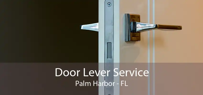 Door Lever Service Palm Harbor - FL