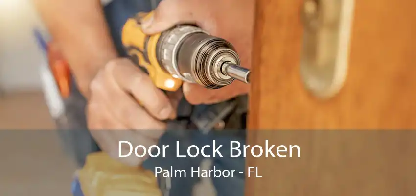 Door Lock Broken Palm Harbor - FL