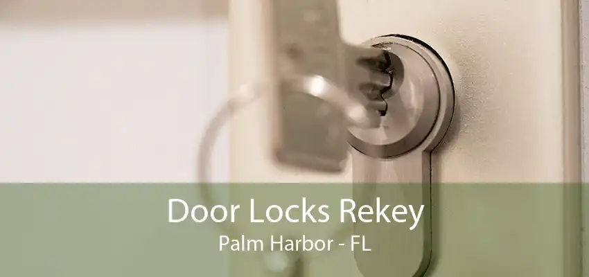 Door Locks Rekey Palm Harbor - FL