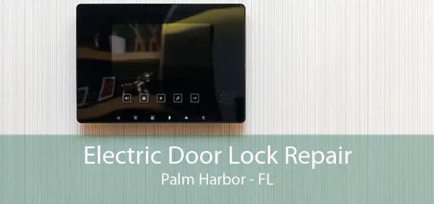 Electric Door Lock Repair Palm Harbor - FL