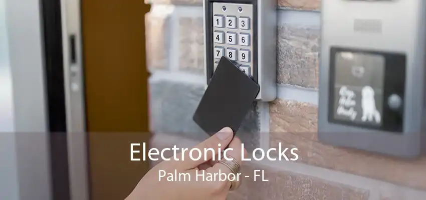 Electronic Locks Palm Harbor - FL