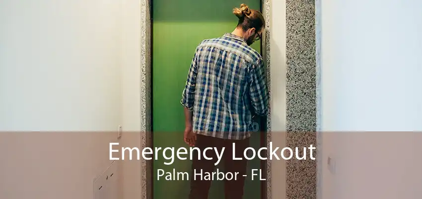 Emergency Lockout Palm Harbor - FL