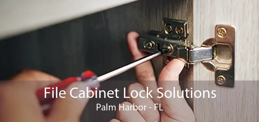 File Cabinet Lock Solutions Palm Harbor - FL