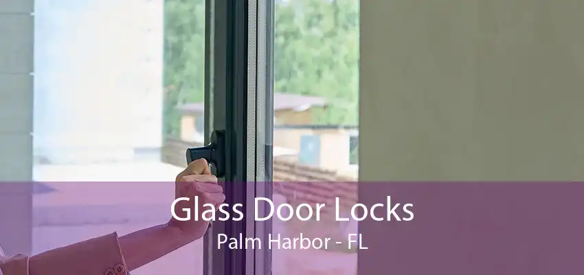 Glass Door Locks Palm Harbor - FL