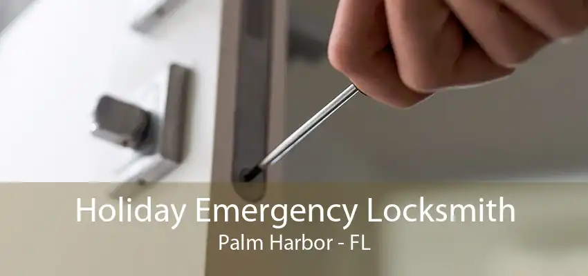 Holiday Emergency Locksmith Palm Harbor - FL