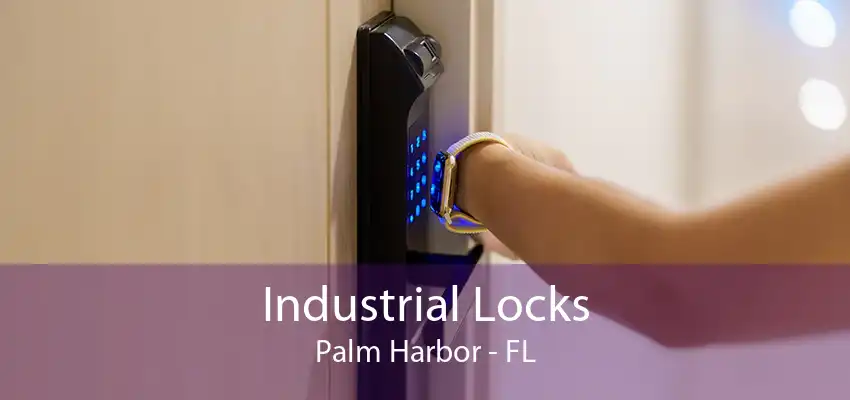 Industrial Locks Palm Harbor - FL