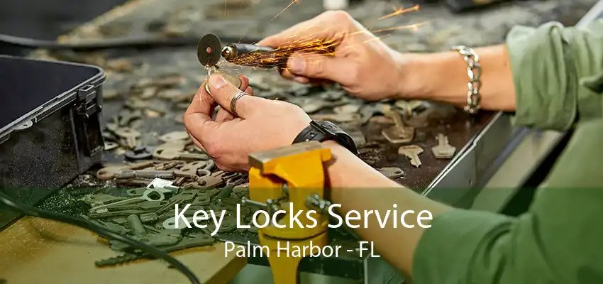 Key Locks Service Palm Harbor - FL