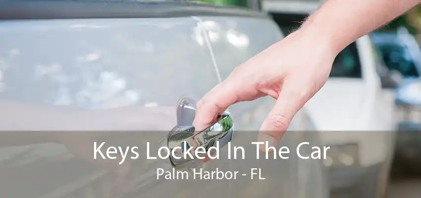 Keys Locked In The Car Palm Harbor - FL