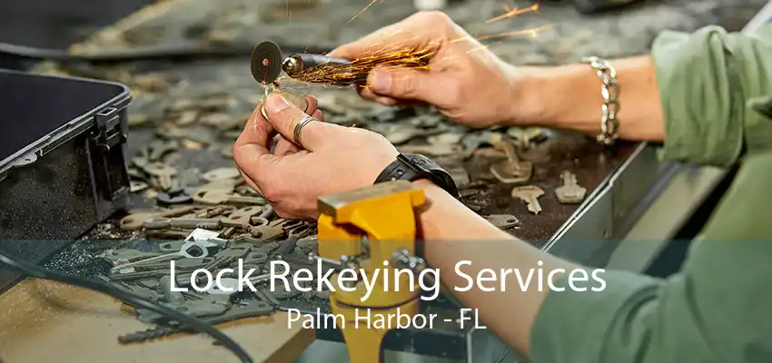 Lock Rekeying Services Palm Harbor - FL