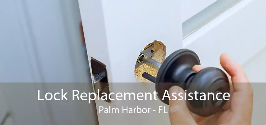 Lock Replacement Assistance Palm Harbor - FL