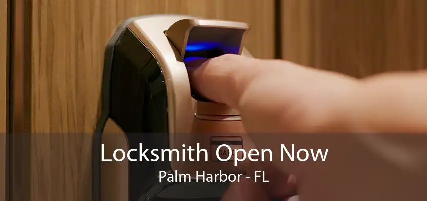 Locksmith Open Now Palm Harbor - FL