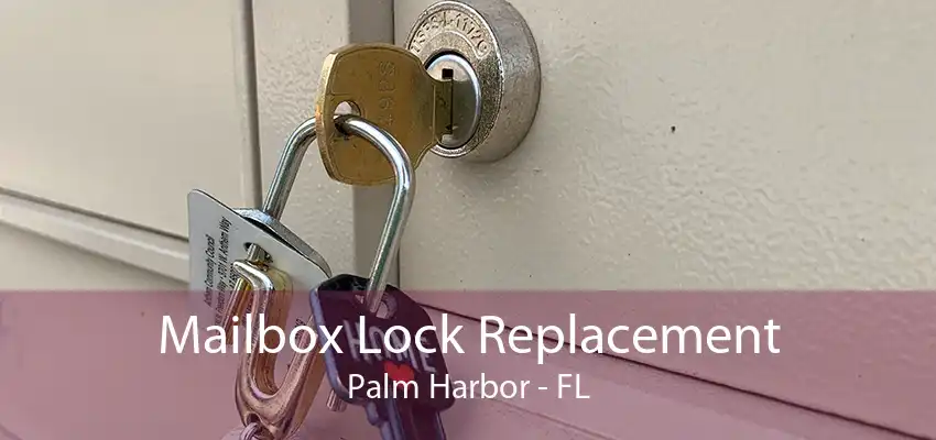 Mailbox Lock Replacement Palm Harbor - FL