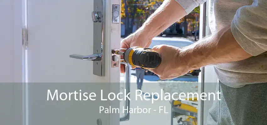 Mortise Lock Replacement Palm Harbor - FL