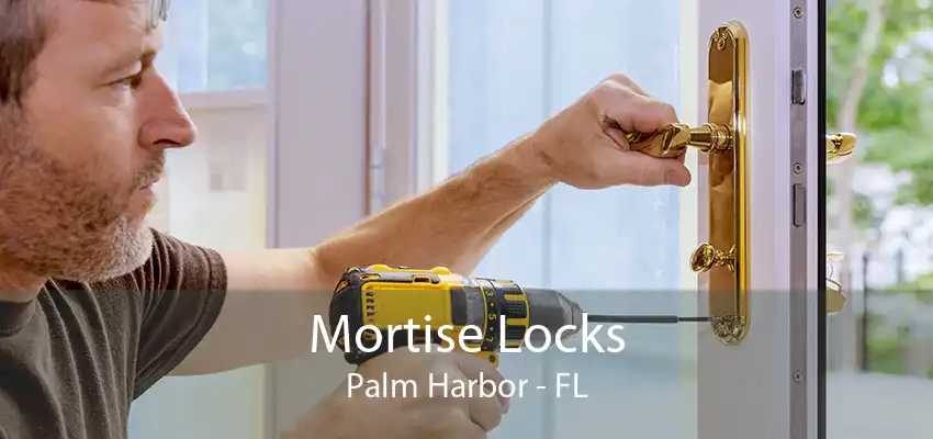 Mortise Locks Palm Harbor - FL