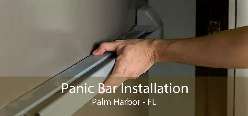 Panic Bar Installation Palm Harbor - FL