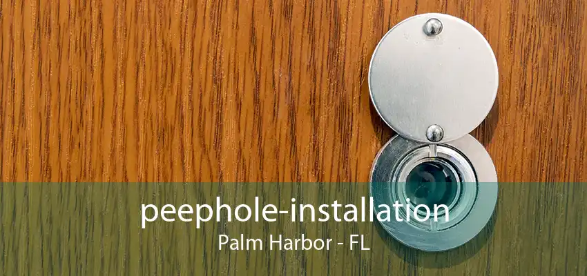 peephole-installation Palm Harbor - FL