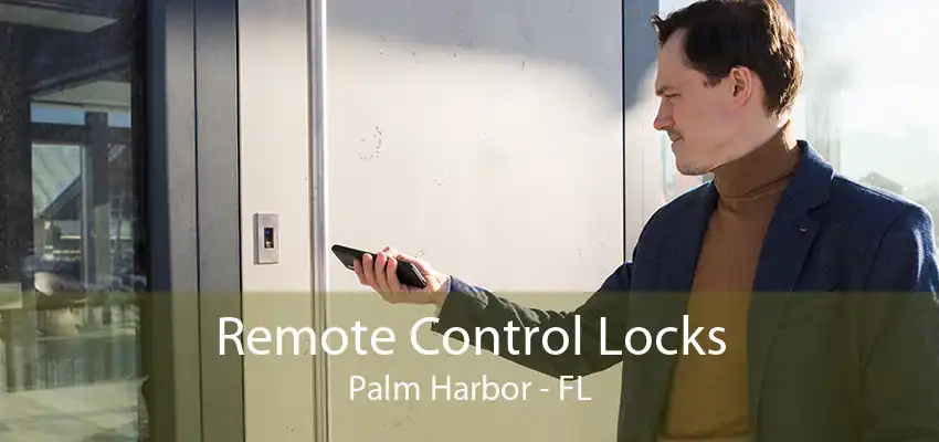 Remote Control Locks Palm Harbor - FL