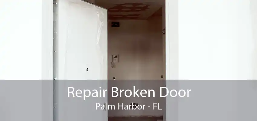 Repair Broken Door Palm Harbor - FL