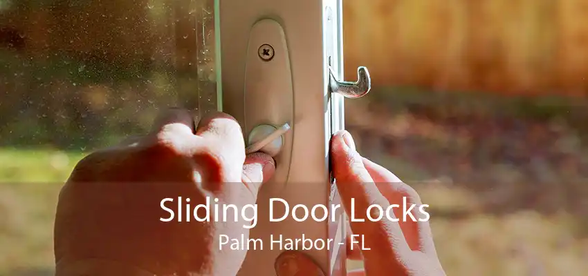 Sliding Door Locks Palm Harbor - FL