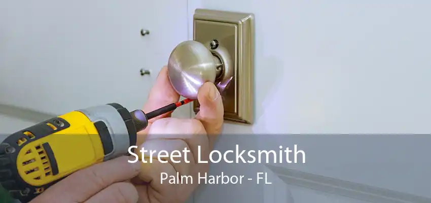 Street Locksmith Palm Harbor - FL